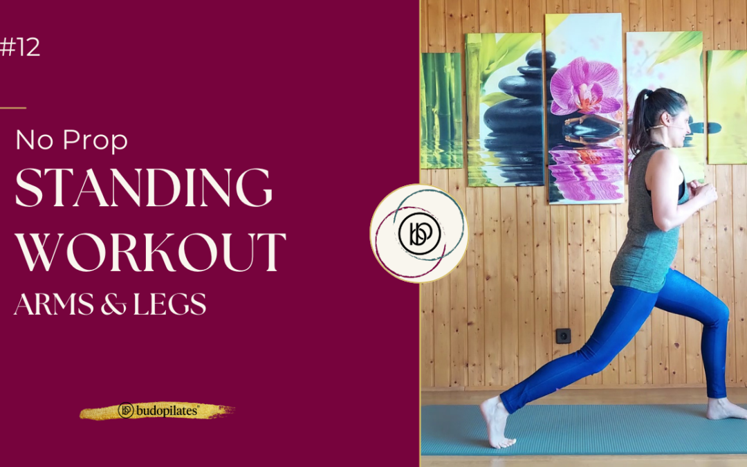 #12 Standing Workout – Arms & Legs