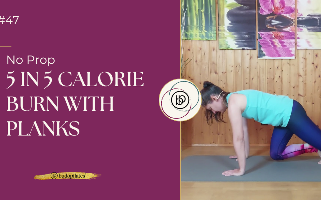 #47 5 in 5 intense calorie burning with planks